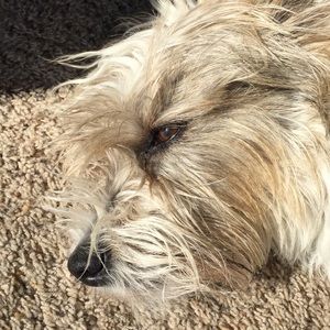 Meet your Posher, Tammy